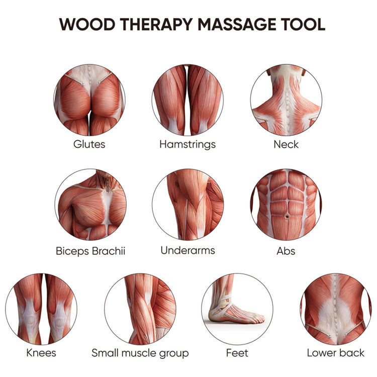 Diagram showcasing muscle groups targeted with the Livingful Premium Wood Massage Tool 3 Sides, focusing on areas including glutes, hamstrings, neck, biceps, underarms, abs, knees, small muscle group, feet, and lower back. Perfect for lymphatic drainage techniques and using it as a cellulite massager to achieve enhanced results.